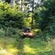 obozy-quadowe-paintballowe-gokartowe-img_6404.jpg