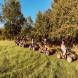 obozy-quadowe-paintballowe-gokartowe-img_6459.jpg