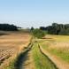 obozy-quadowe-paintballowe-gokartowe-img_6466.jpg