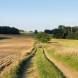 obozy-quadowe-paintballowe-gokartowe-img_6467.jpg