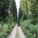 obozy-quadowe-paintballowe-gokartowe-wandrus-img_9066.jpg