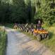 obozy-quadowe-paintballowe-gokartowe-wandrus-img_9380.jpg