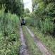 obozy-quadowe-paintballowe-gokartowe-wandrus-img_9430.jpg
