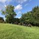 obozy-quadowe-paintballowe-gokartowe-wandrus-img_9494.jpg