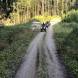 obozy-quadowe-img_0397.jpg
