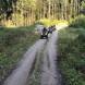 obozy-quadowe-img_0398.jpg