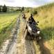 obozy-quadowe-wandrus-img_1039.jpg