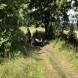 obozy-quadowe-wandrus-img_1097.jpg