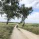 obozy-quadowe-wandrus-img_2298.jpg