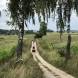 obozy-quadowe-wandrus-img_2306.jpg