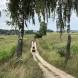 obozy-quadowe-wandrus-img_2307.jpg