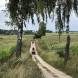 obozy-quadowe-wandrus-img_2308.jpg