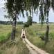 obozy-quadowe-wandrus-img_2309.jpg
