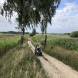 obozy-quadowe-wandrus-img_2320.jpg