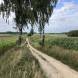 obozy-quadowe-wandrus-img_2324.jpg
