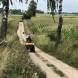 obozy-quadowe-wandrus-img_2328.jpg