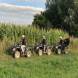 obozy-quadowe-wandrus-img_2422.jpg
