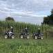 obozy-quadowe-wandrus-img_2434.jpg
