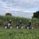obozy-quadowe-wandrus-img_2436.jpg