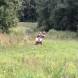 obozy-quadowe-wandrus-img_2441.jpg