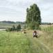 obozy-quadowe-wandrus-img_2490.jpg