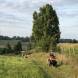 obozy-quadowe-wandrus-img_2504.jpg