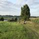obozy-quadowe-wandrus-img_2514.jpg