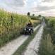 obozy-quadowe-wandrus-img_2536.jpg