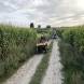 obozy-quadowe-wandrus-img_2552.jpg
