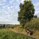 obozy-quadowe-wandrus-img_2583.jpg