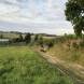 obozy-quadowe-wandrus-img_2594.jpg