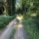obozy-quadowe-wandrus-img_6262.jpg