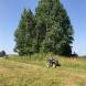 obozy-quadowe-wandrus-img_6413.jpg