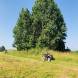 obozy-quadowe-wandrus-img_6571.jpg