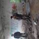 paintball-oboz-paintballowo-gokartowo-quadowy-wandrus-20210704_124567.jpg