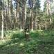 paintball-obozy-paintballowe-quadowe-gokartowe-wandrus-img_20210709_160302.jpg