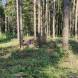 paintball-obozy-paintballowe-quadowe-gokartowe-wandrus-img_20210709_160308.jpg