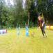z-psem_na_wakacje_oboz_dla_dzieci_i_mlodziezy_z_wlasnym_psem_wandrus_img_20220706_192818.jpg