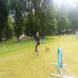 z-psem_na_wakacje_oboz_dla_dzieci_i_mlodziezy_z_wlasnym_psem_wandrus_img_20220706_192819.jpg