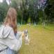 z-psem_na_wakacje_oboz_dla_dzieci_i_mlodziezy_z_wlasnym_psem_wandrus_img_20220706_192827.jpg