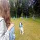 z-psem_na_wakacje_oboz_dla_dzieci_i_mlodziezy_z_wlasnym_psem_wandrus_img_20220706_192829.jpg