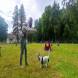 z-psem_na_wakacje_oboz_dla_dzieci_i_mlodziezy_z_wlasnym_psem_wandrus_img_20220706_192843.jpg