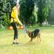 z-psem_na_wakacje_oboz_dla_dzieci_i_mlodziezy_z_wlasnym_psem_wandrus_img_20220706_192880.jpg