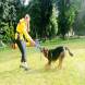 z-psem_na_wakacje_oboz_dla_dzieci_i_mlodziezy_z_wlasnym_psem_wandrus_img_20220706_192881.jpg