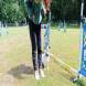 z-psem_na_wakacje_oboz_dla_dzieci_i_mlodziezy_z_wlasnym_psem_wandrus_img_20220706_193243.jpg