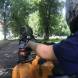 quady-obozy-quadowe-gokartowe-paintballowe-przygodowe-wandrus-img_1705.jpg