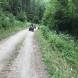 quady-obozy-quadowe-gokartowe-paintballowe-przygodowe-wandrus-img_1750.jpg