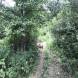 quady-obozy-quadowe-gokartowe-paintballowe-przygodowe-wandrus-img_1762.jpg