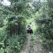 quady-obozy-quadowe-gokartowe-paintballowe-przygodowe-wandrus-img_1763.jpg
