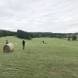 quady-obozy-quadowe-gokartowe-paintballowe-przygodowe-wandrus-img_1769.jpg